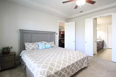 14286 Winecup Drive, Frisco, TX 75033 - Photo 19