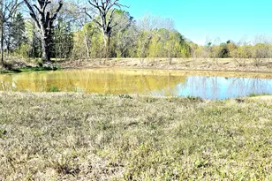 301 County Rd 44000, Blossom, TX 75416 - Photo 7