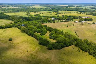 479 County Rd 27450, Honey Grove, TX 75477 - Photo 17