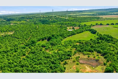3180 Rock Creek Road, Jacksboro, TX 76458 - Photo 5