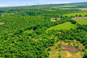 3180 Rock Creek Rd, Jacksboro, TX 76458 - Photo 5