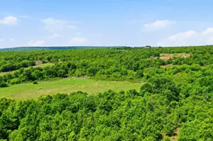 3180 Rock Creek Rd, Jacksboro, TX 76458 - Photo 17