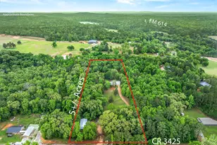 15450 Cr 3425, Brownsboro, TX 75756 - Photo 11