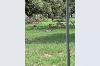 409 Pecan Grove Drive, Clyde, TX 79510 - Photo 15