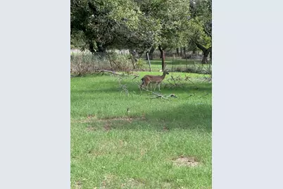 409 Pecan Grove Drive, Clyde, TX 79510 - Photo 17