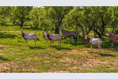 10000 Fm 209, Graham, TX 76450 - Photo 19