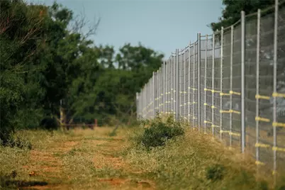 10000 Fm 209, Graham, TX 76450 - Photo 3