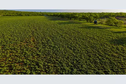 10000 Fm 209, Graham, TX 76450 - Photo 35