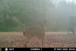 190 Private Road 5825A, Groesbeck, TX 76642 - Photo 23