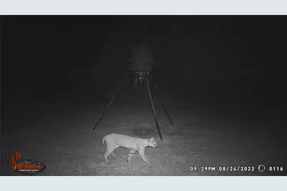 5636 Fm 56, Clifton, TX 76634 - Photo 37