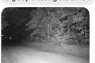 4073 E Fm 852, Winnsboro, TX 75494 - Photo 37