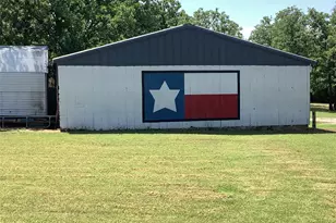 1625 Co Rd 281, Carbon, TX 76435 - Photo 9