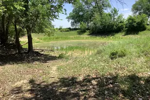 1625 Co Rd 281, Carbon, TX 76435 - Photo 3