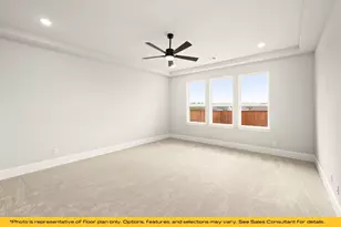 313 Fire Blade Dr, Aledo, TX 76008 - Photo 23