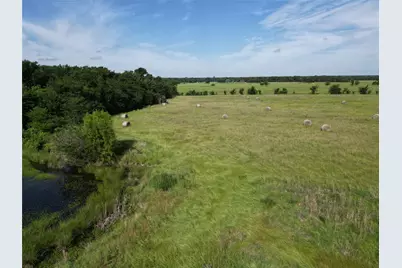 7188 Fm 1567 W, Miller Grove, TX 75433 - Photo 7