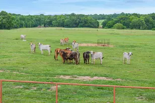 10266 Co Rd 1200, Athens, TX 75751 - Photo 31