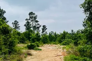 2665 Co Rd 3940, Mineola, TX 75773 - Photo 9