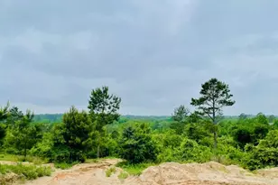 2665 Co Rd 3940, Mineola, TX 75773 - Photo 1