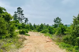 2665 Co Rd 3940, Mineola, TX 75773 - Photo 15