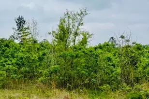 2665 Co Rd 3940, Mineola, TX 75773 - Photo 23