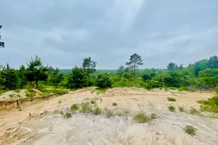 2665 Co Rd 3940, Mineola, TX 75773 - Photo 33