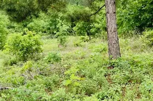 2665 Co Rd 3940, Mineola, TX 75773 - Photo 5