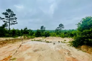 2665 Co Rd 3940, Mineola, TX 75773 - Photo 21