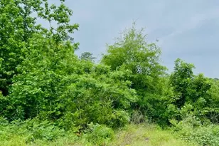 2665 Co Rd 3940, Mineola, TX 75773 - Photo 21