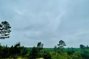 2665 Co Rd 3940, Mineola, TX 75773 - Photo 31
