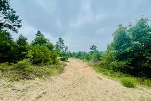2665 Co Rd 3940, Mineola, TX 75773 - Photo 7