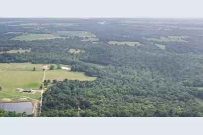 2711 An County Road 2301, Tennessee Colony, TX 75861 - Photo 7