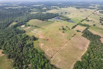 2711 An County Road 2301, Tennessee Colony, TX 75861 - Photo 9