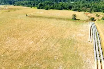 2711 An County Road 2301, Tennessee Colony, TX 75861 - Photo 15