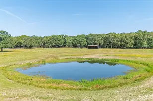 1516 Rancho Rd, Quinlan, TX 75474 - Photo 39