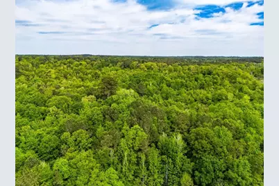 Tbd White Oak Road, Big Sandy, TX 75755 - Photo 3