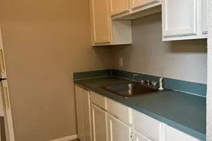 701 W Sycamore St, Denton, TX 76201 - Photo 11