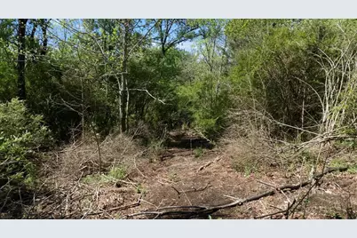 Tbd County Road 4511, Commerce, TX 75428 - Photo 7