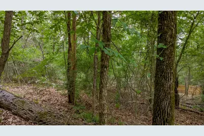 1714 Pineview Lane, Hideaway, TX 75771 - Photo 11