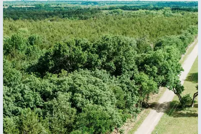 Tbd Cr 2975, Honey Grove, TX 75446 - Photo 11