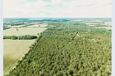 Tbd Cr 2975, Honey Grove, TX 75446 - Photo 15