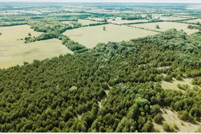 Tbd Cr 2975, Honey Grove, TX 75446 - Photo 19