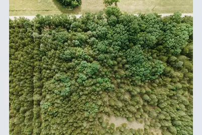 Tbd Cr 2975, Honey Grove, TX 75446 - Photo 5