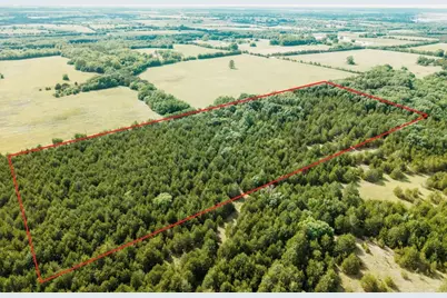 Tbd Cr 2975, Honey Grove, TX 75446 - Photo 5