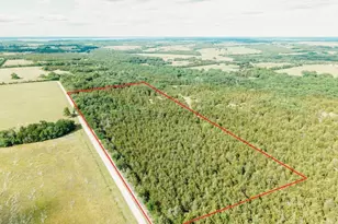 Tbd Cr 2975, Honey Grove, TX 75446 - Photo 1