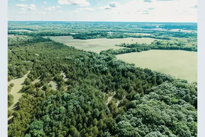 Tbd Cr 2975, Honey Grove, TX 75446 - Photo 23