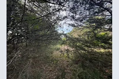 Lot 15R-2 Hout Bay Road, Streetman, TX 75859 - Photo 21