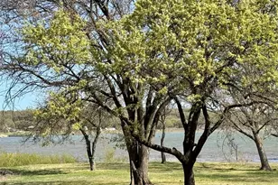 306 Oak St, Nocona, TX 76255 - Photo 17
