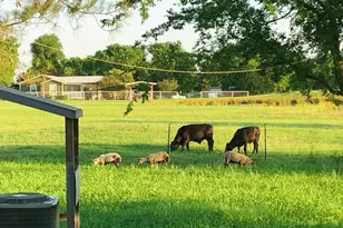 272 County Road 2062, Klondike, TX 75448 - Photo 23