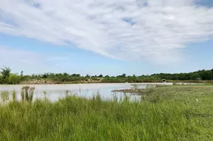 272 County Road 2062, Klondike, TX 75448 - Photo 21