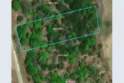 1015 Bluegill Ridge, Bluff Dale, TX 76433 - Photo 3